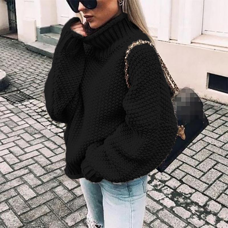 Casual Solid Color Turtleneck Long Sleeve Bat Sleeve Thick Needle Sweater